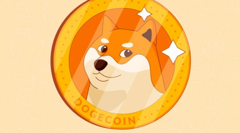 Dogecoin: מה זה והאם יש לו ערך כלשהו